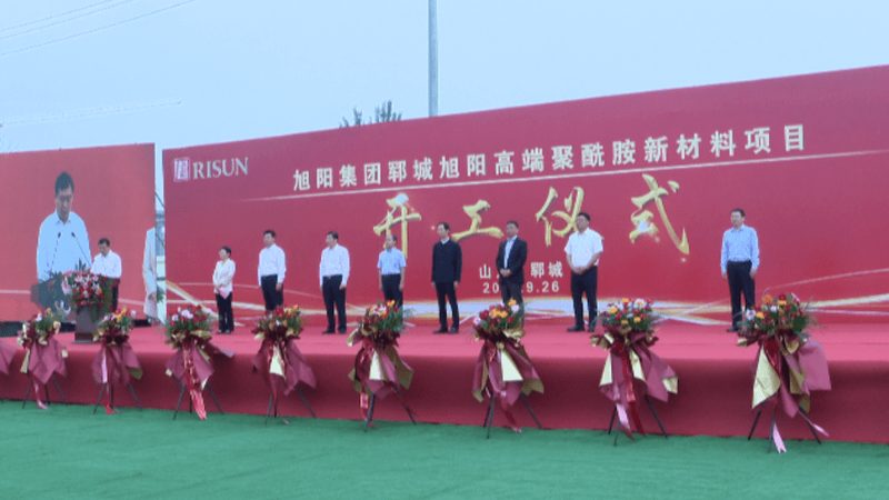 新材料出口代理费用：揭秘行业成本构成与优化策略**